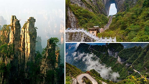 The 'Avatar' of the real world