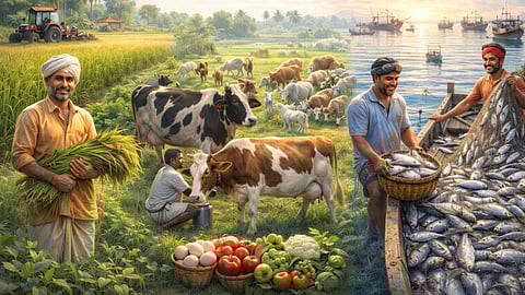 Agriculture sector in india