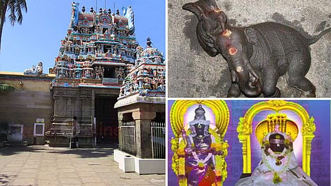 Panchavarneswarar temple and the chicken that trampled the elephant sculpture!