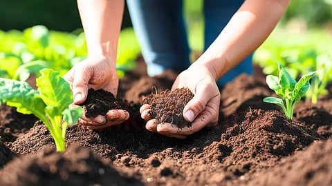 prevent environmental pollution