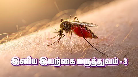 Iniya iyarkai maruthuvam - Mosquito