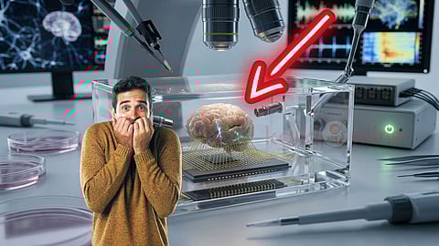 Organoid Intelligence