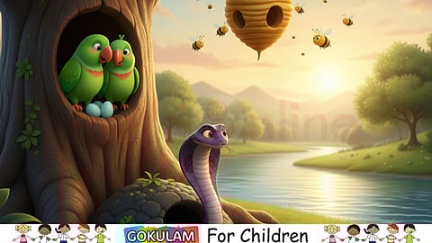 Parrots and the Secret Plan