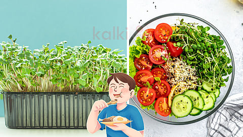 Microgreens healthy foods