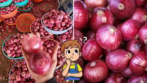 Buy the Big Small and the Small Big Onions