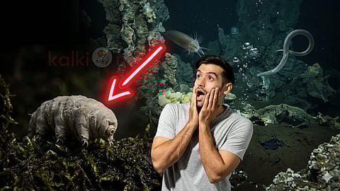 6 Organisms That Do Not Breathe Oxygen