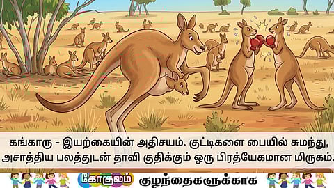 Amazing facts about kangaroo