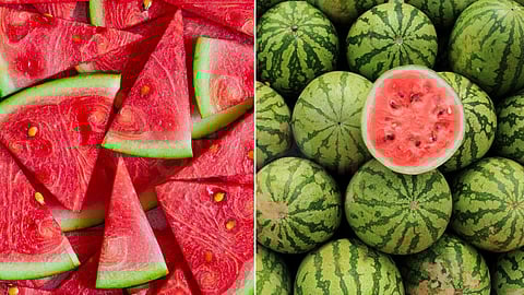 Watermelon Fruits