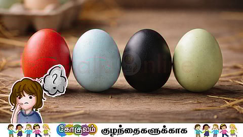 Eggs in many colors