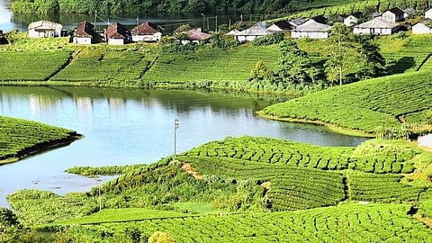 meghamalai-summer-trip