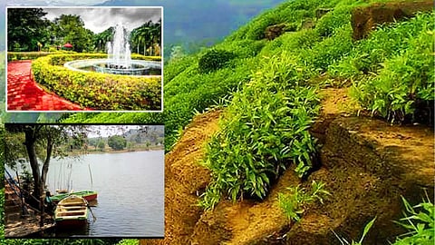 yelagiri-hills-