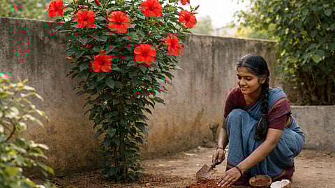 Tamil short story Senbagam and hibiscus