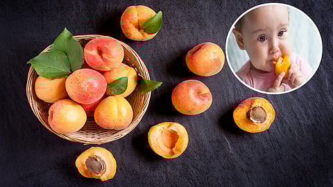 apricots