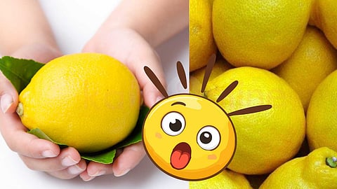 spiritual-secrets-of-lemon