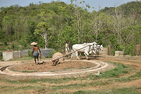 Kurmagram vedic village