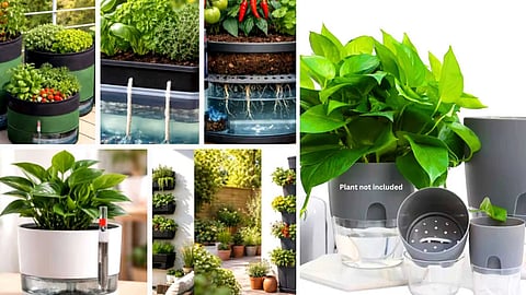 self-watering-planter