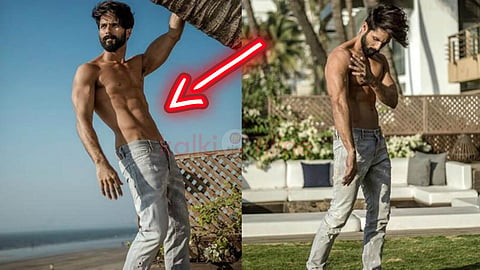fit Shahid Kapoor