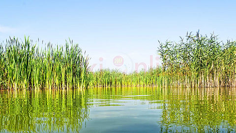 groundwater-level