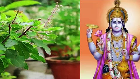 vaikasi-month