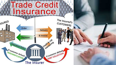 credit-insurance-guide