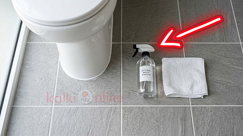 Toilet cleaning tips