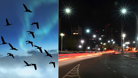 light-pollution