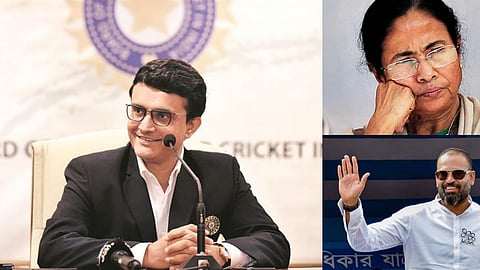 cricketers in politics