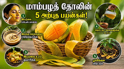 5 uses of mango peel