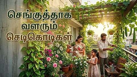 செங்குத்துத் தோட்டம் | A family is maintaining the vertical garden