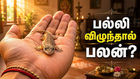 பல்லி சாஸ்திரம்
