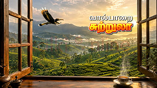 வால்பாறை சுற்றுலா