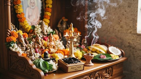 Aragaja | அரகஜா