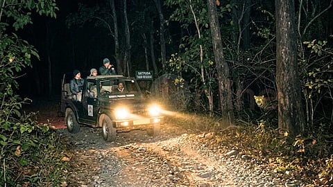 night safari india - இரவு சஃபாரி