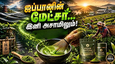 மேட்சா தேயிலை | Matcha tea
