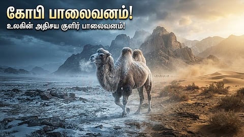 கோபி பாலைவனம் | Gobi Desert