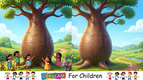 baobab tree | Nature's Giant Bottle