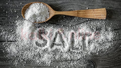 Salt | உப்பு