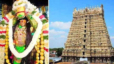 சங்கரன்கோவில் புற்றுமண் - Sankarankovil Temple,