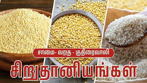 Millets | சிறுதானியங்கள்