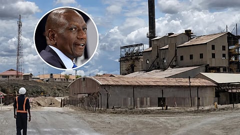 Tata Chemicals, Kenya president