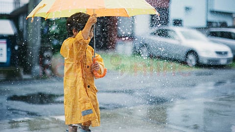 குடை பராமரிப்பு - umbrella maintenance