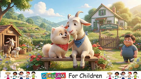 Story of Pomo and Gogo