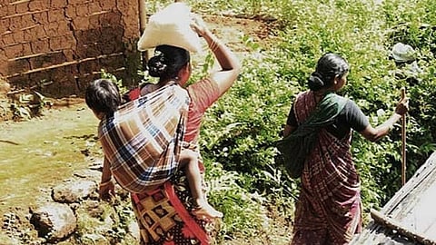 மலசர் பழங்குடியினர் - Tribal Herbal Medicine