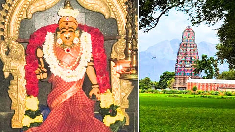 காசிநாதர் கோயில் - Erithandavar Temple