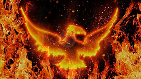பீனிக்ஸ் திசைகள் - Phoenix Placement Vastu