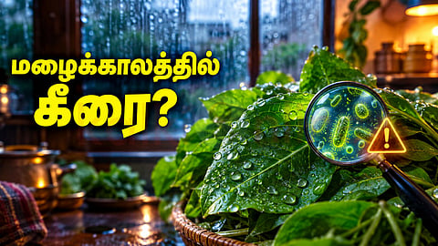 Greens in Rainy Season