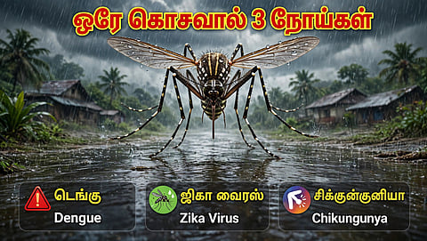 டெங்கு காய்ச்சல்