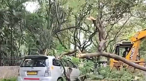 Huge tree falls in front of CM's residence.