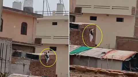 Married Woman Flees By Jumping Off 12-Foot-High Hotel Roof