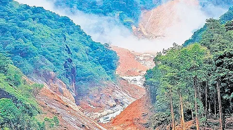 Punchirimattam inside forested areas